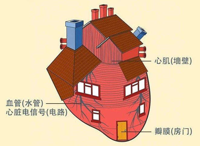 【健康知识】一图读解国人头号杀手，各类心血管疾病